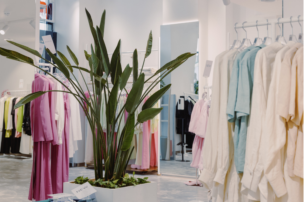 <br />
<b>Warning</b>:  Undefined variable $image_alt in <b>/home/xs852681/kokonaviclub.com/public_html/kokonavisite/wp-content/themes/HotelConcierge/page-intro-map.php</b> on line <b>62</b><br />
